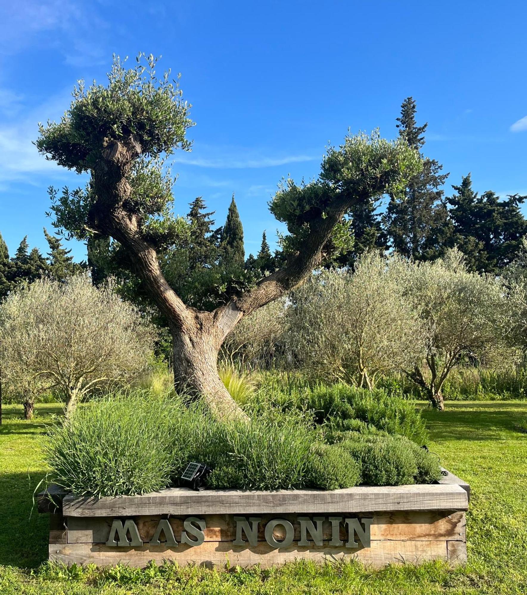 Отель Mas De Nonin St Remy De Provence Нов Экстерьер фото
